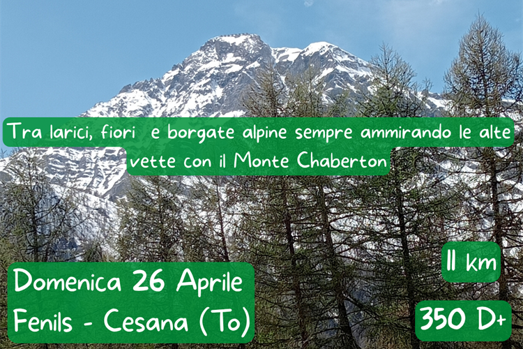 ESCURSIONE A FENILS, AL COSPETTTO DEL MONTE CHABERTON